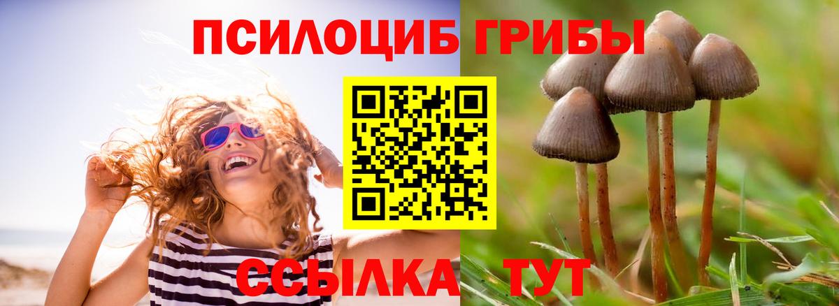 Галлюциногенные грибы мухоморы Борзя